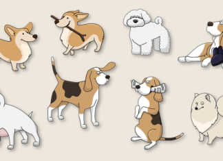 Så många hundar finns det i sverige - Lista med antal av varje registrerad hundras
